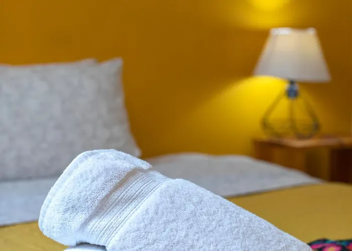 Hotel Departamentos Mi Querido Coyoacan 4*
