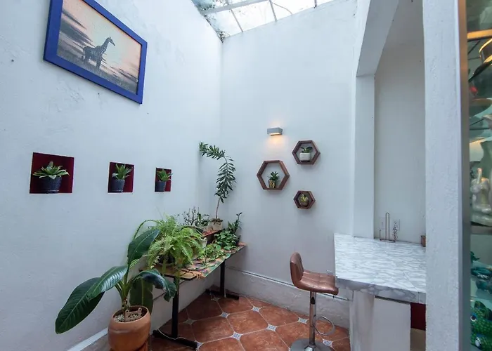 Hotel Departamentos Mi Querido Coyoacan Mexico City