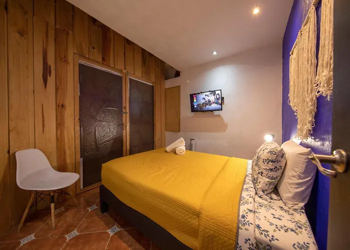 Departamentos Mi Querido Coyoacan Hotel