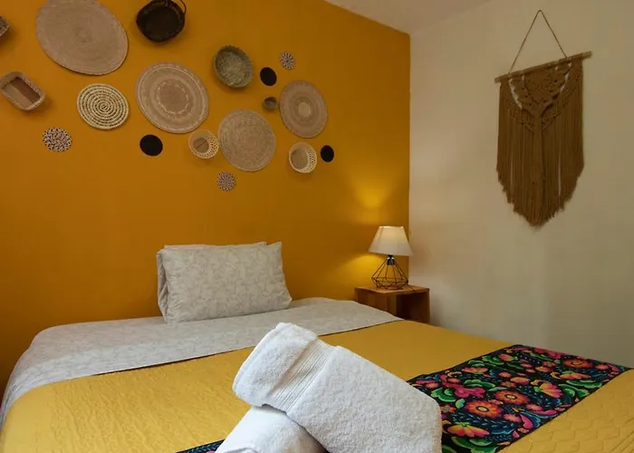 Departamentos Mi Querido Coyoacan Hotel Mexico City
