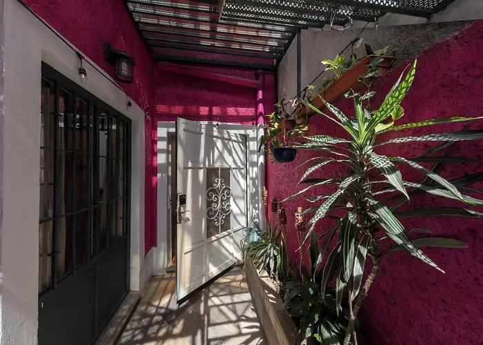 Hotel Departamentos Mi Querido Coyoacan Mexico City